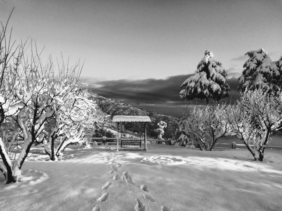 Chirping Orchard, Mukteshwar Panzió Kültér fotó