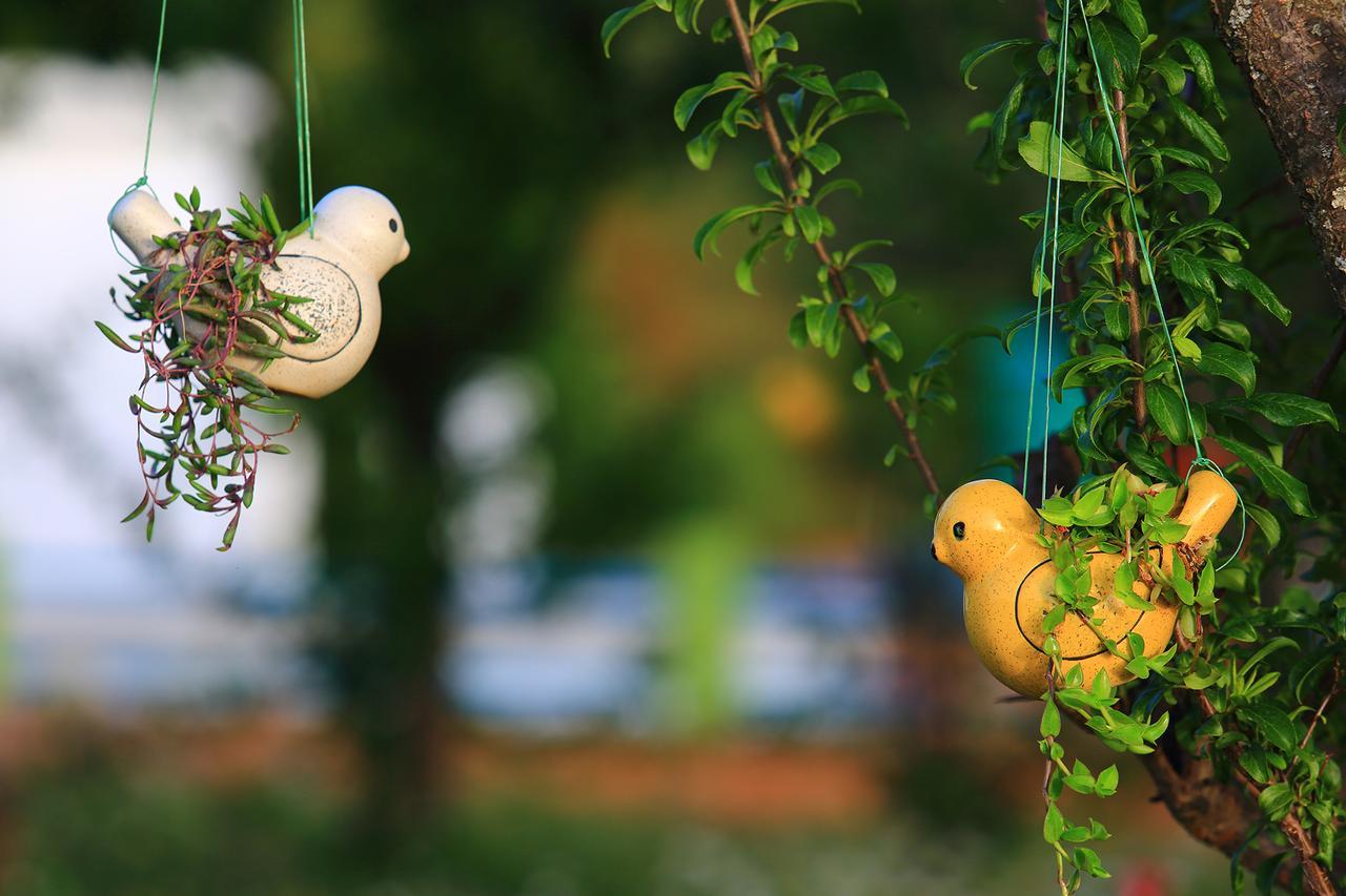 Chirping Orchard, Mukteshwar Panzió Kültér fotó